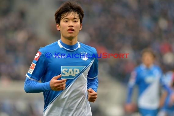 1.BL - 14/15 - TSG 1899 Hoffenheim vs Hamburger SV  (© Fotostand / Loerz)